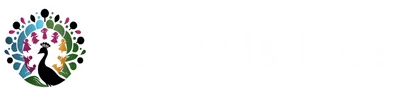 Paradis Kids
